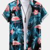 675e06d87759c8292099ac81d63e606564e8fe5cfd9ec11075781c613833a3e5.jpg Flamingo Tropical Print Button Up Shirt & Short Length Swim Shorts